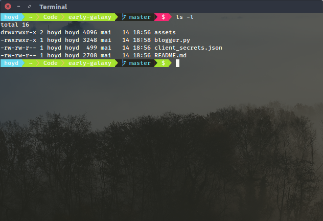 Get a nice looking terminal prompt in ubuntu